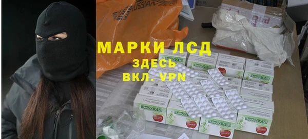 шишки Абаза