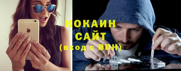 PSILOCYBIN Рославль