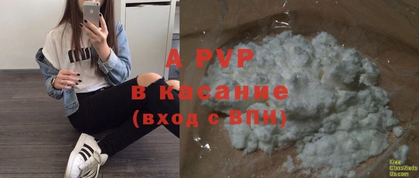 шишки Абаза