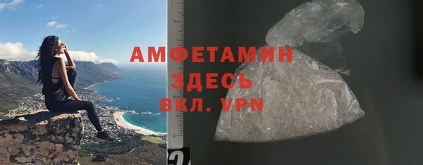 шишки Абаза