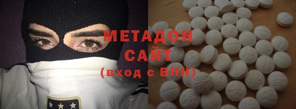 шишки Абаза