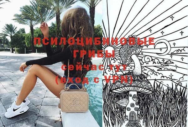 шишки Абаза