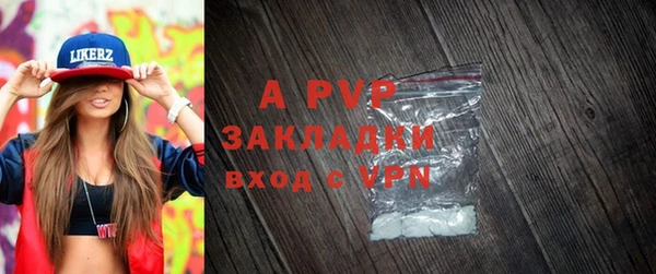 шишки Абаза