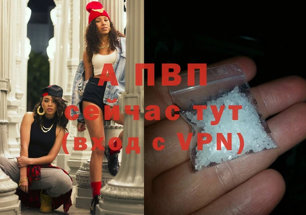 шишки Абаза