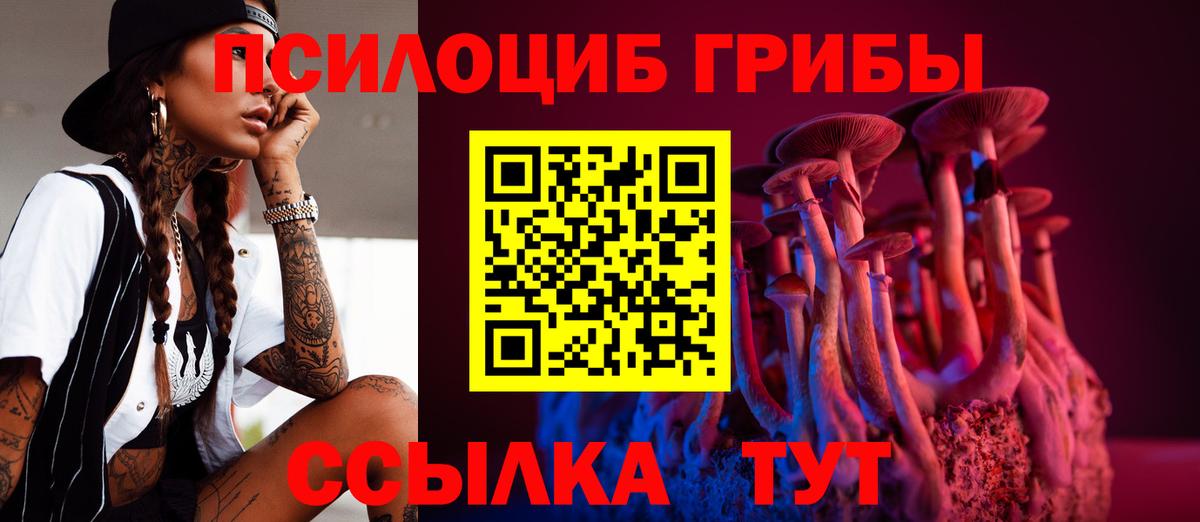 Галлюциногенные грибы Psilocybine cubensis Карталы